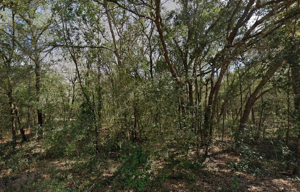 For Sale: $8,499 (0.17 acres)