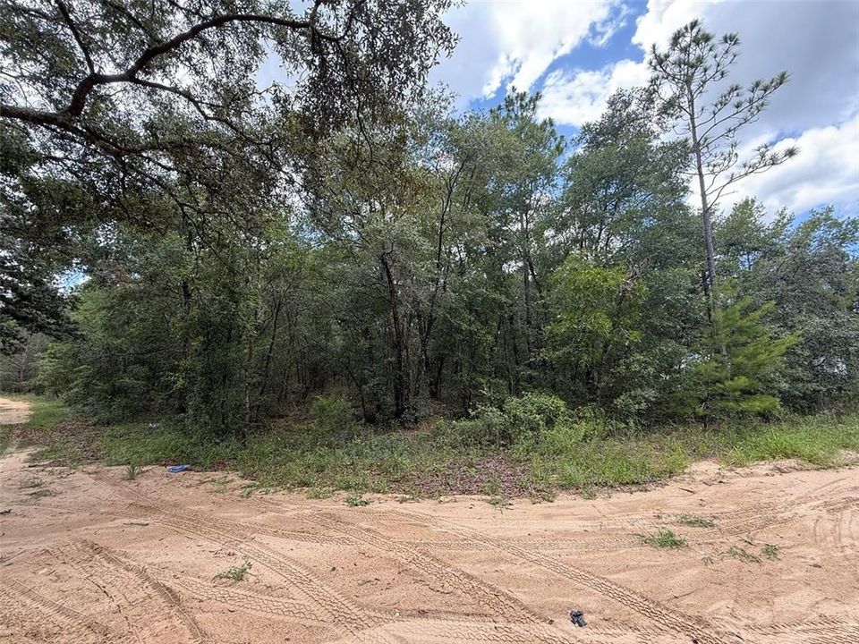 For Sale: $8,499 (0.17 acres)