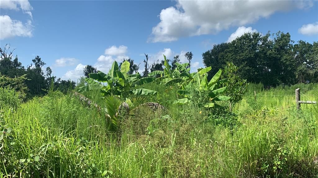 На продажу: $169,000 (6.15 acres)