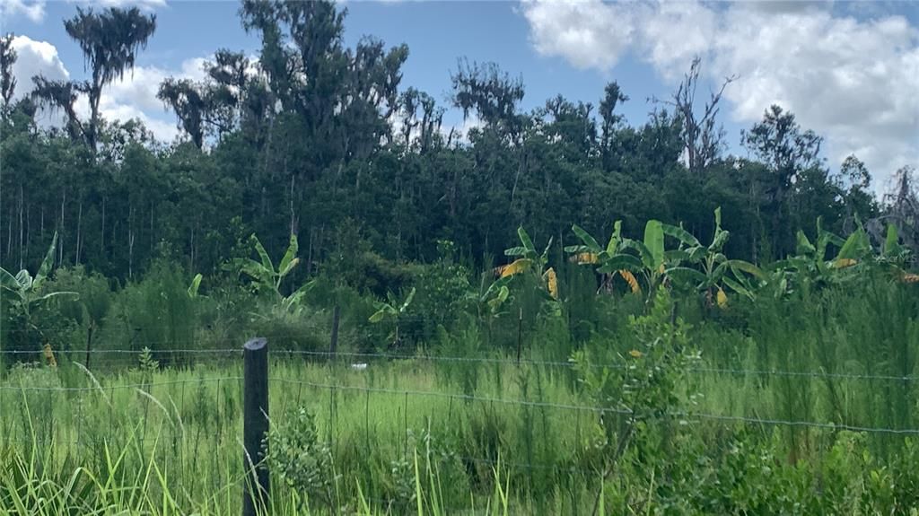 На продажу: $169,000 (6.15 acres)