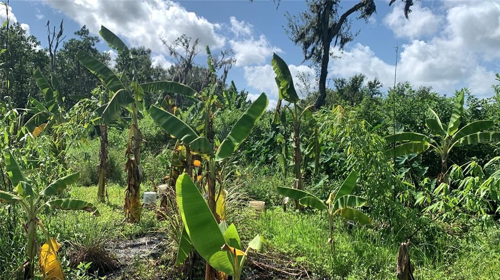 На продажу: $169,000 (6.15 acres)