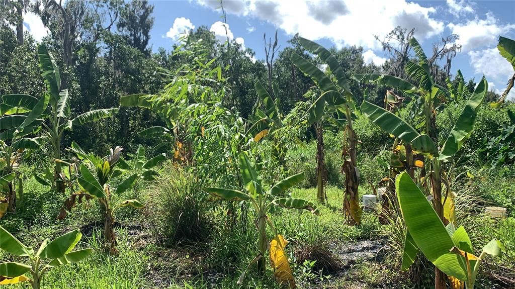 На продажу: $169,000 (6.15 acres)