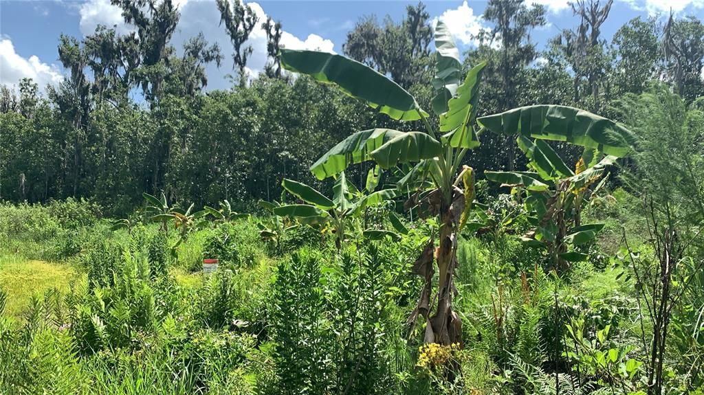 На продажу: $169,000 (6.15 acres)