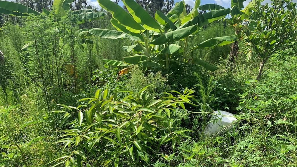 На продажу: $169,000 (6.15 acres)