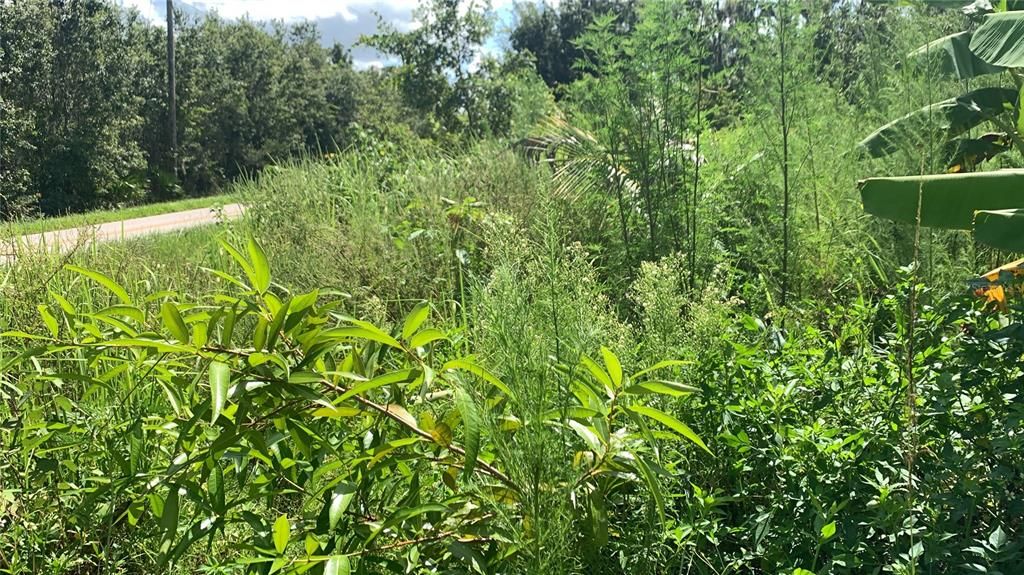 На продажу: $169,000 (6.15 acres)