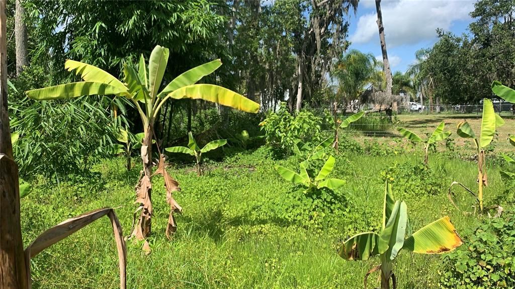 На продажу: $169,000 (6.15 acres)