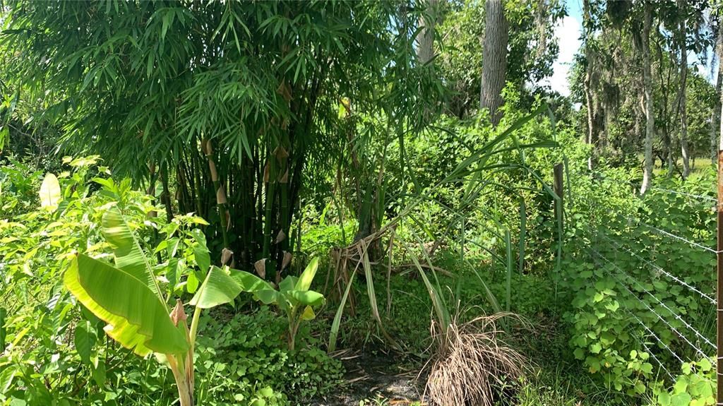 На продажу: $169,000 (6.15 acres)