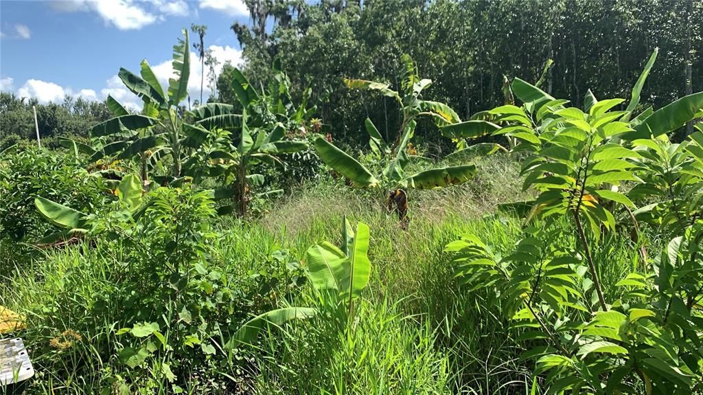 На продажу: $169,000 (6.15 acres)