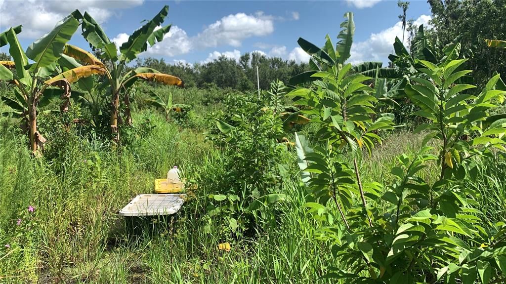 На продажу: $169,000 (6.15 acres)