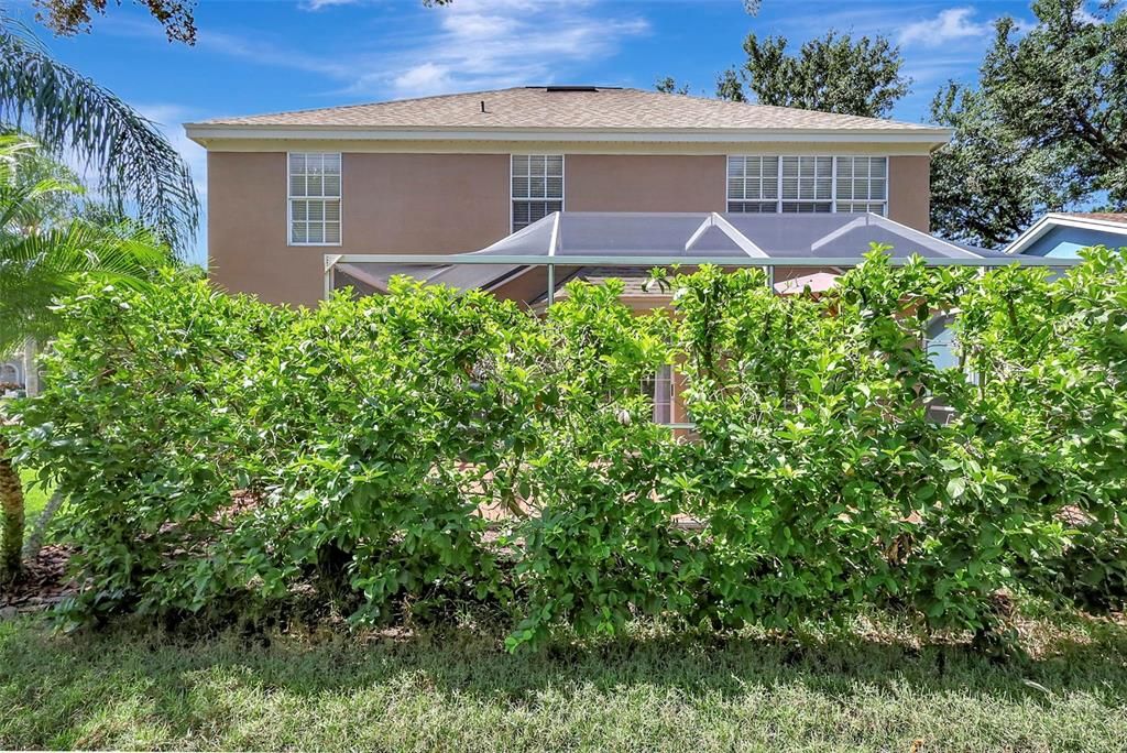 合同活跃: $450,000 (4 贝兹, 2 浴室, 2169 平方英尺)