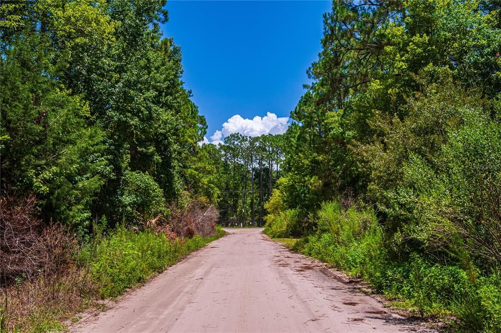 For Sale: $5,000 (0.28 acres)