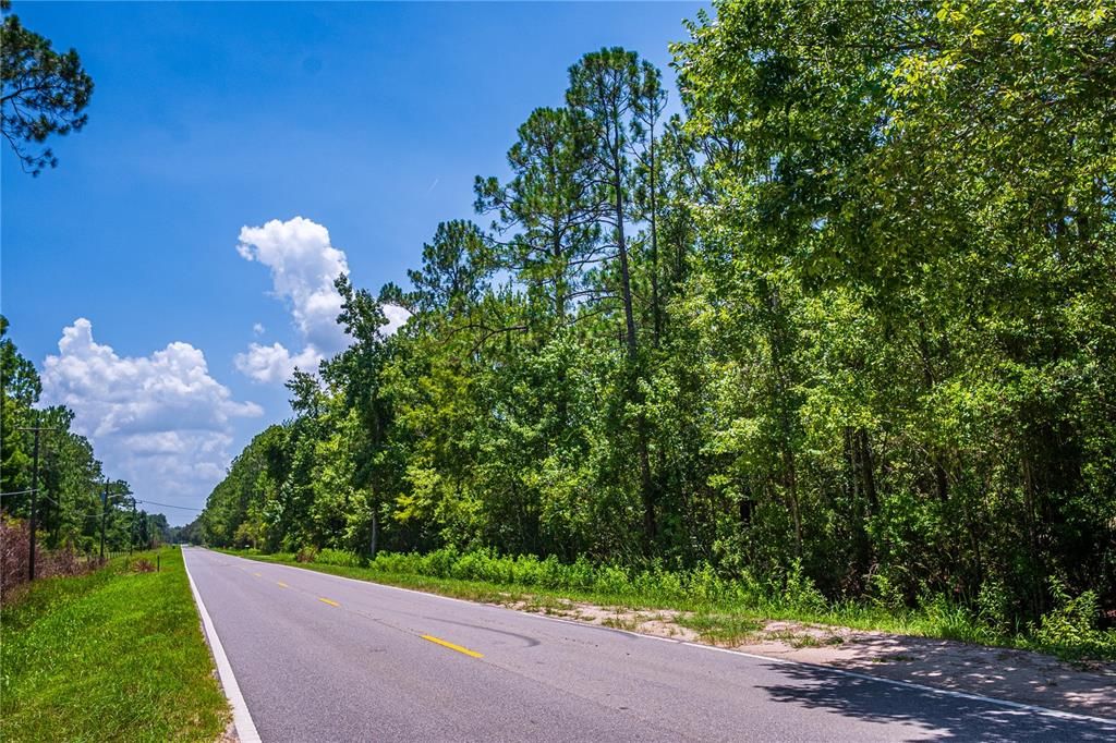 For Sale: $5,000 (0.28 acres)