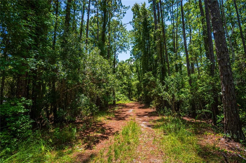 For Sale: $5,000 (0.28 acres)