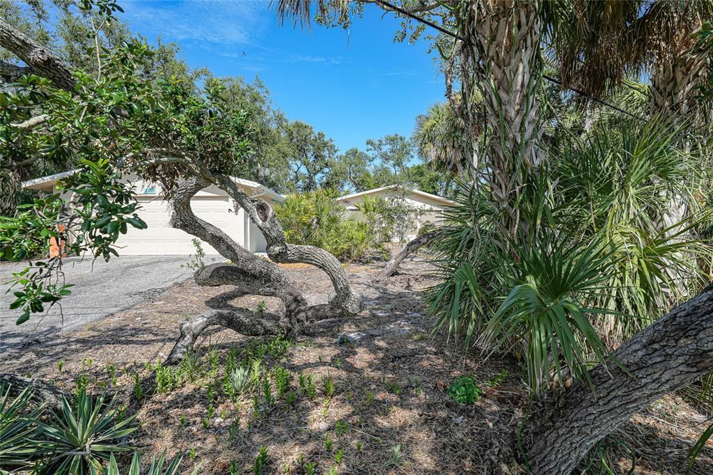 合同活跃: $687,700 (2 贝兹, 2 浴室, 1568 平方英尺)