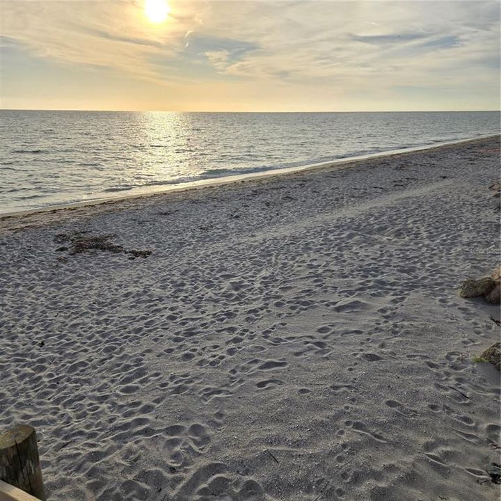 合同活跃: $687,700 (2 贝兹, 2 浴室, 1568 平方英尺)