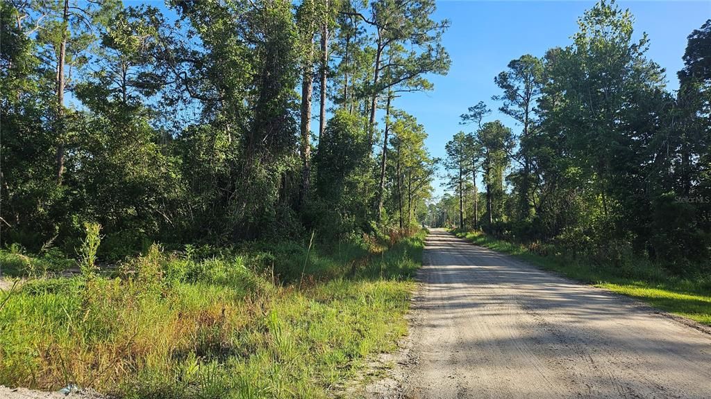 For Sale: $78,400 (0.26 acres)