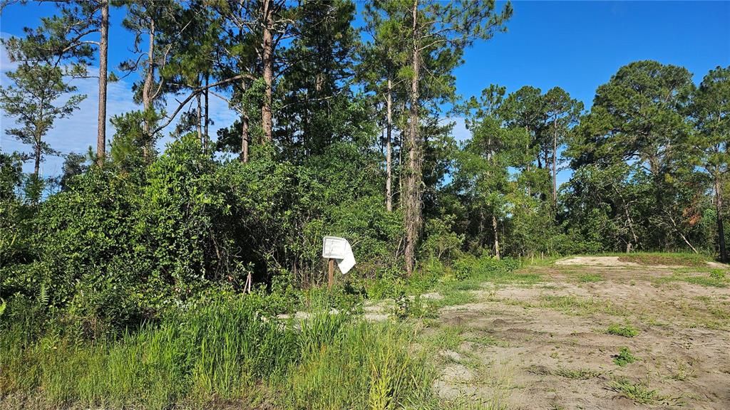 For Sale: $78,400 (0.26 acres)