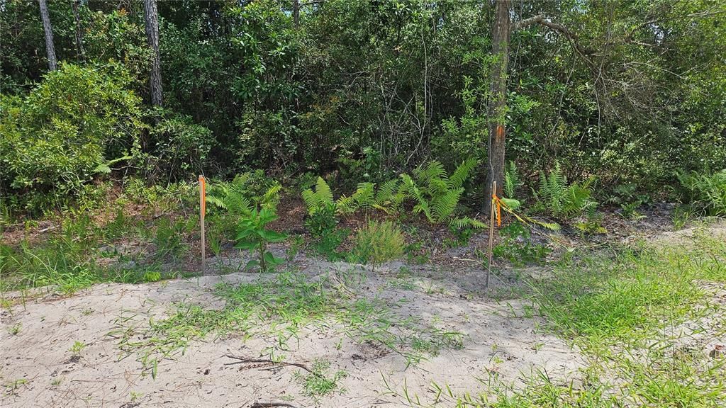 For Sale: $78,400 (0.26 acres)