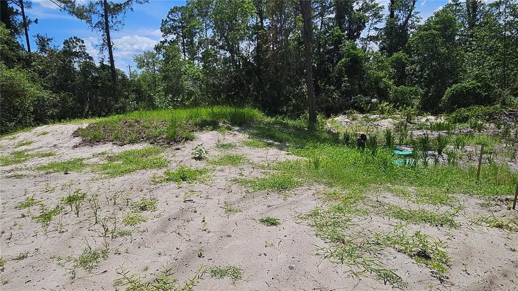 For Sale: $78,400 (0.26 acres)