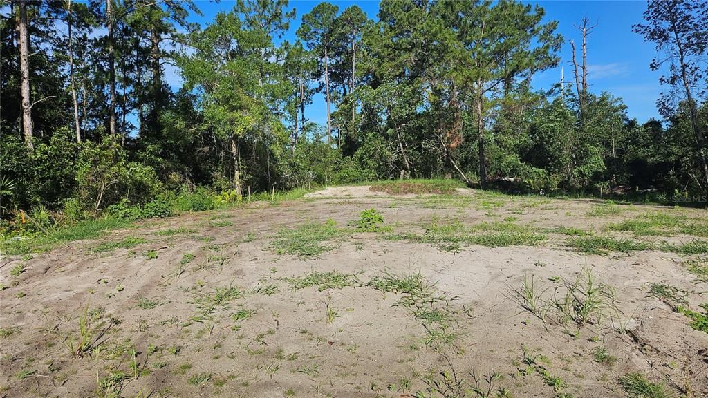 For Sale: $78,400 (0.26 acres)