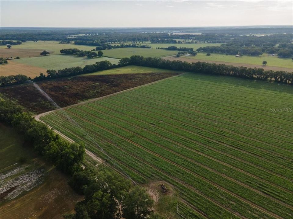 For Sale: $395,000 (26.75 acres)