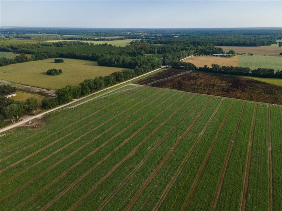 For Sale: $395,000 (26.75 acres)