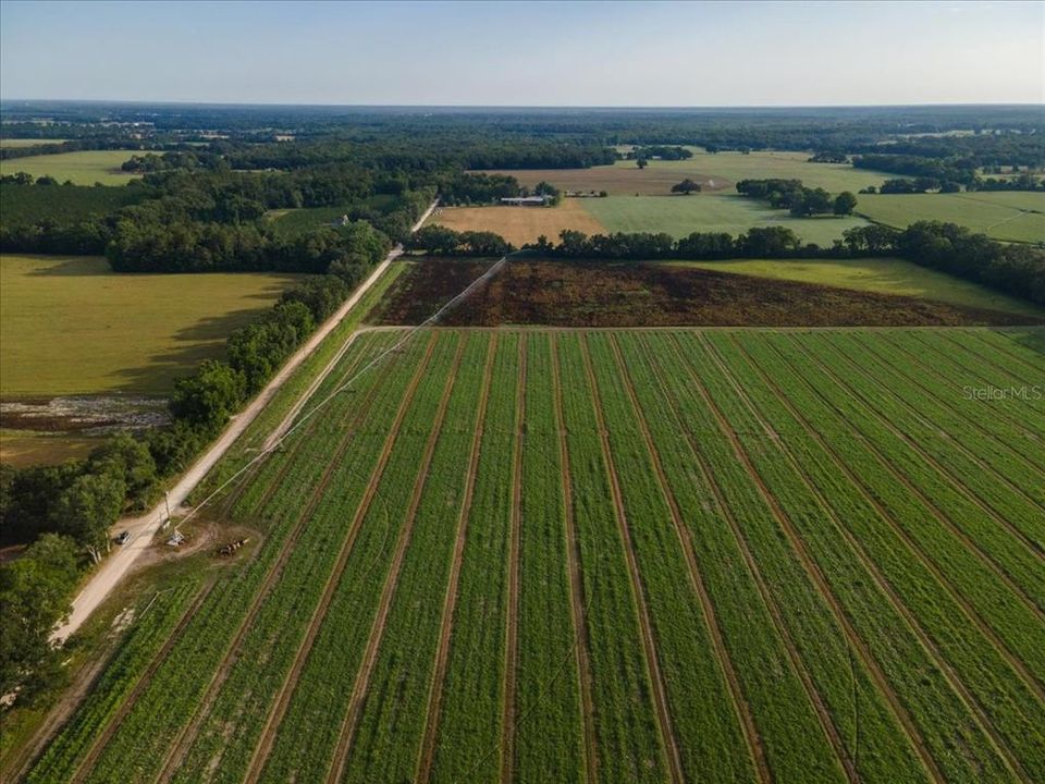 For Sale: $395,000 (26.75 acres)