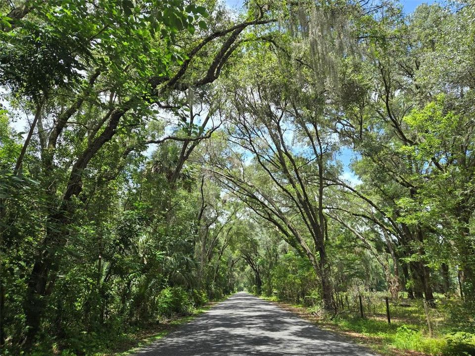 待售: $274,000 (5.32 acres)