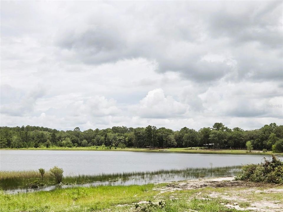 待售: $274,000 (5.32 acres)