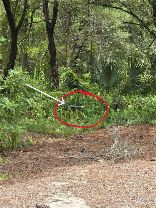 待售: $274,000 (5.32 acres)