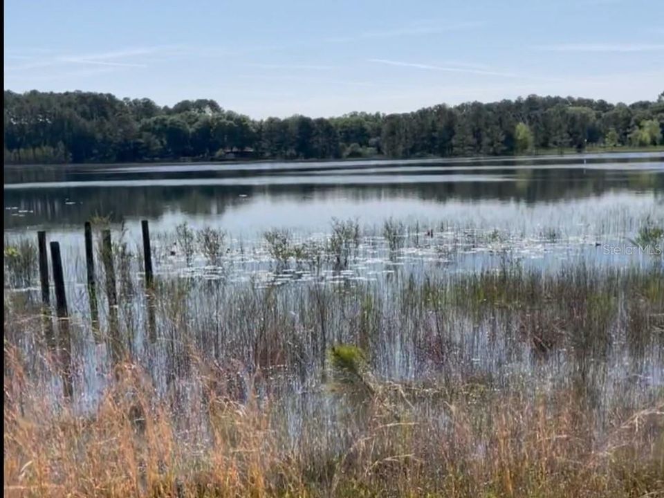 待售: $274,000 (5.32 acres)