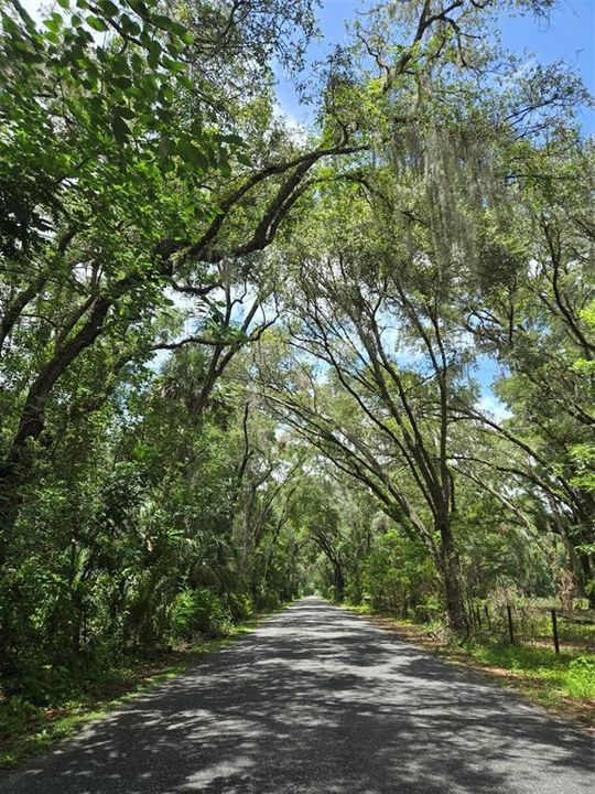 待售: $274,000 (5.32 acres)