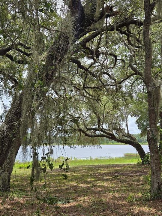 待售: $274,000 (5.32 acres)