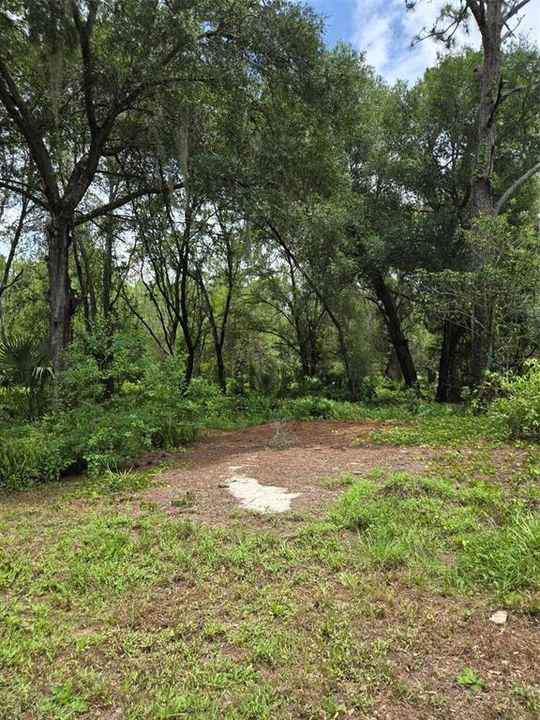 待售: $274,000 (5.32 acres)