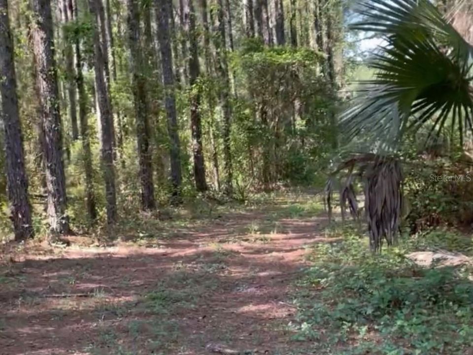 待售: $274,000 (5.32 acres)