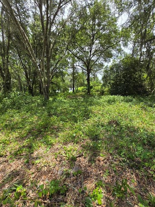 待售: $274,000 (5.32 acres)