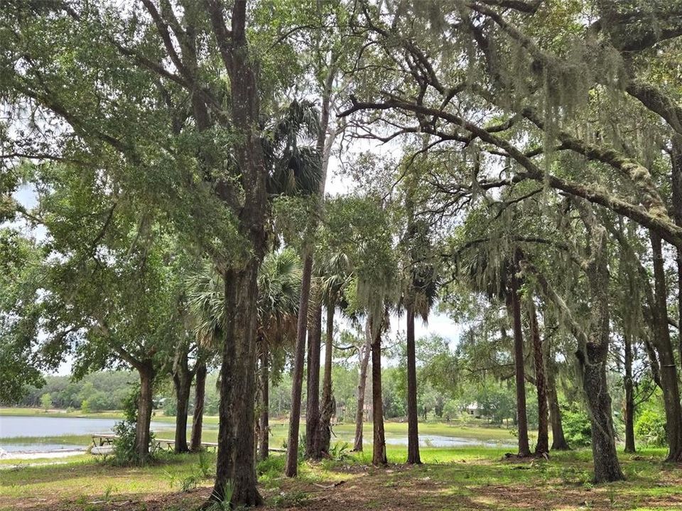 待售: $274,000 (5.32 acres)