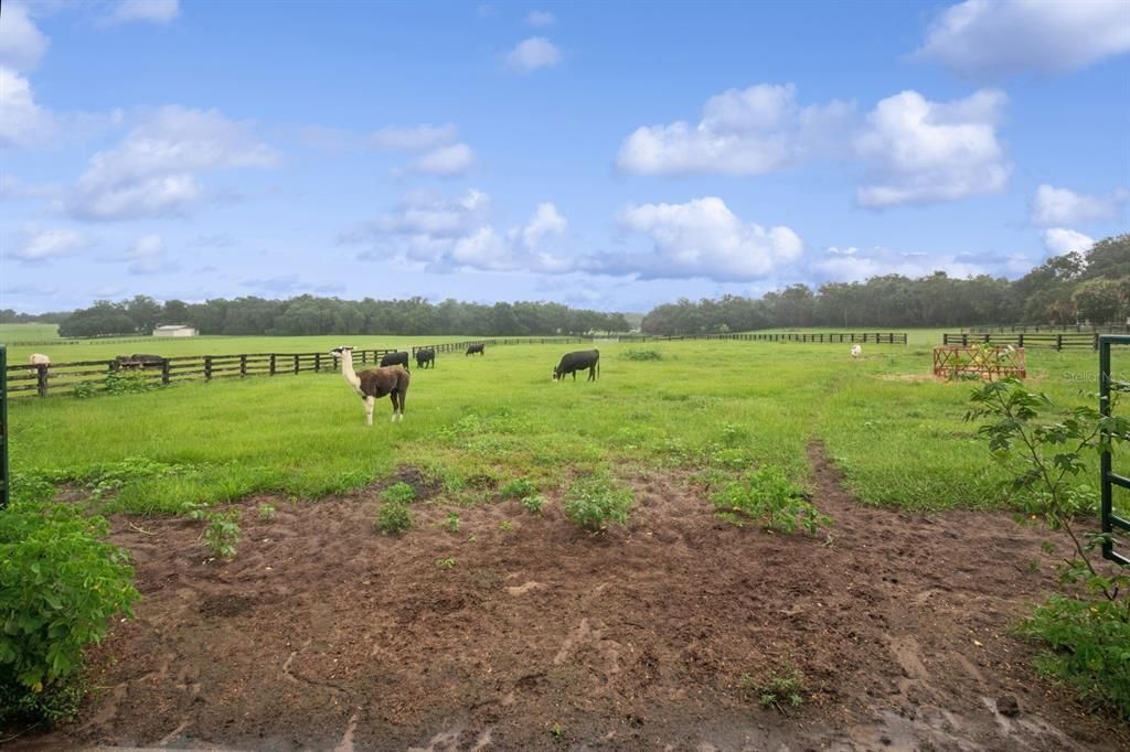 For Sale: $1,600,000 (7 beds, 5 baths, 3890 Square Feet)