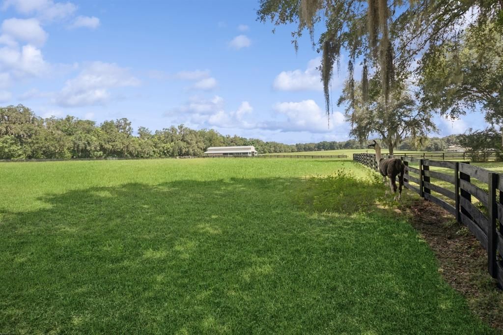 For Sale: $1,600,000 (7 beds, 5 baths, 3890 Square Feet)