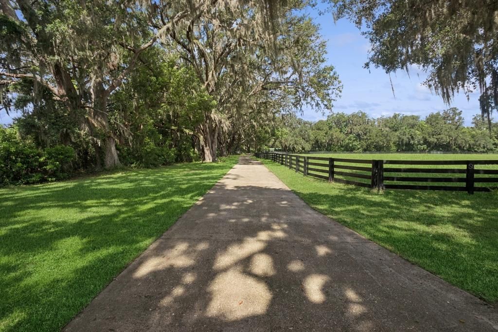 For Sale: $1,600,000 (7 beds, 5 baths, 3890 Square Feet)