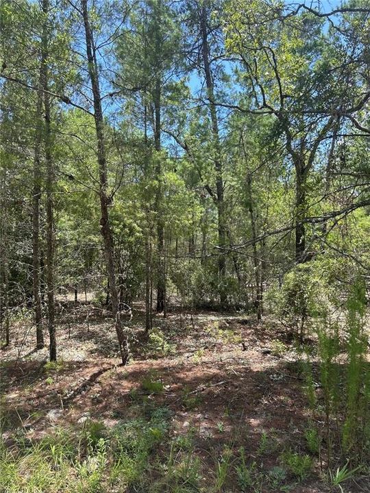 Recently Sold: $73,000 (5.01 acres)