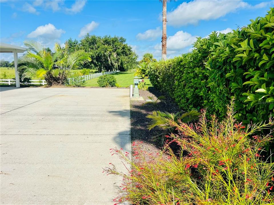 For Sale: $199,900 (0.12 acres)