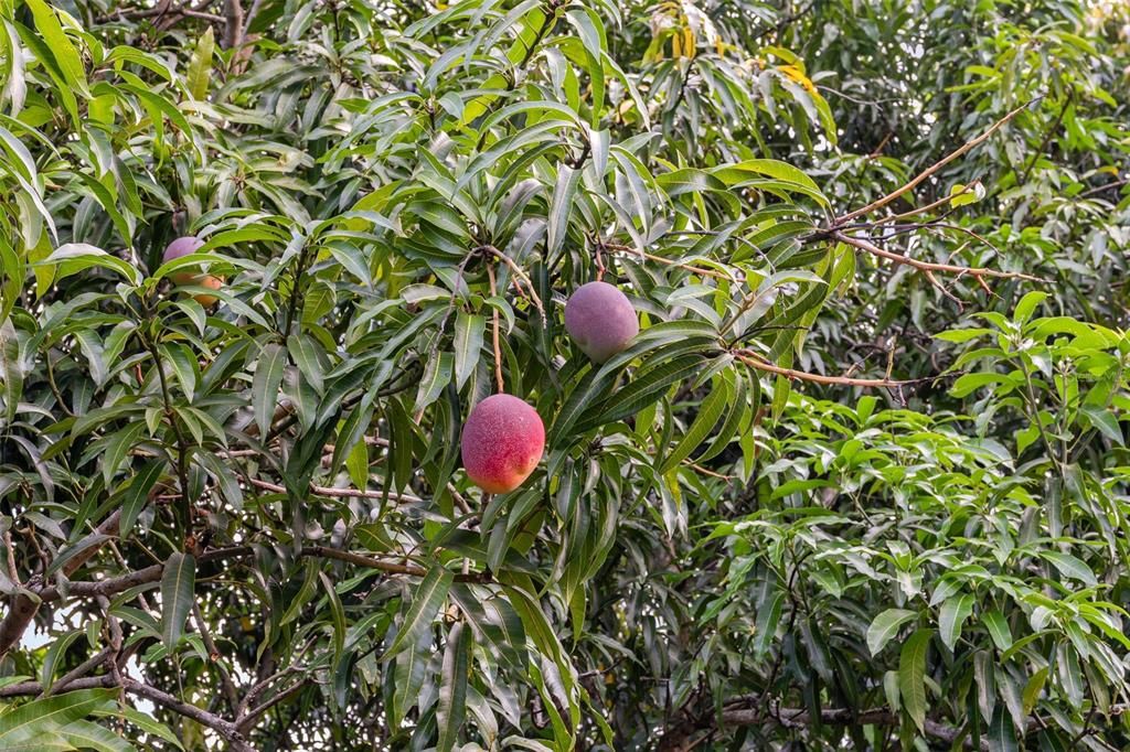 待售: $699,900 (4 贝兹, 2 浴室, 2002 平方英尺)