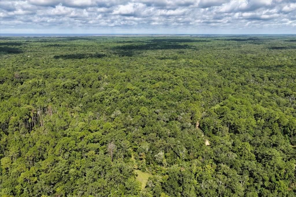 For Sale: $595,000 (79.12 acres)