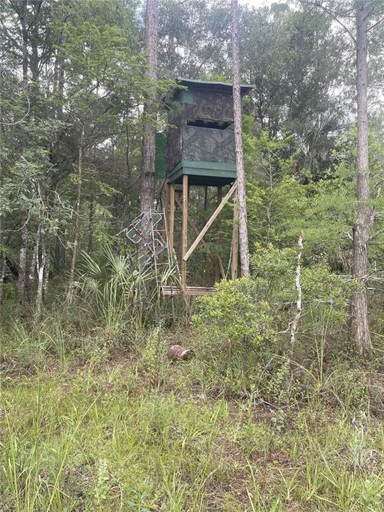 For Sale: $595,000 (79.12 acres)