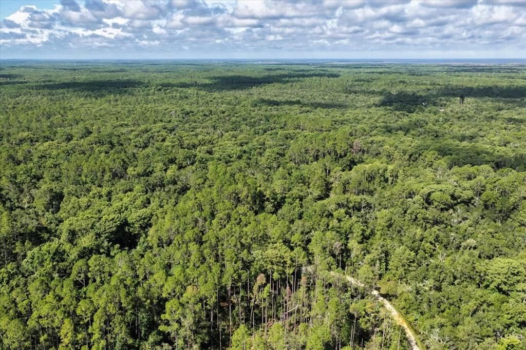 For Sale: $595,000 (79.12 acres)