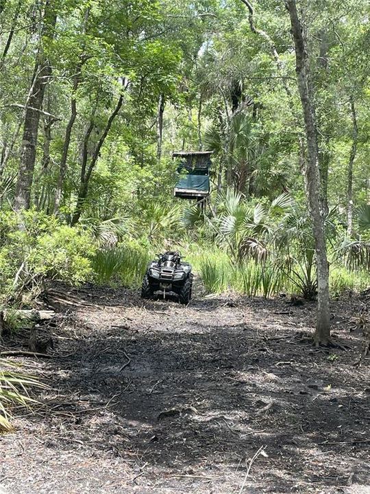 For Sale: $595,000 (79.12 acres)