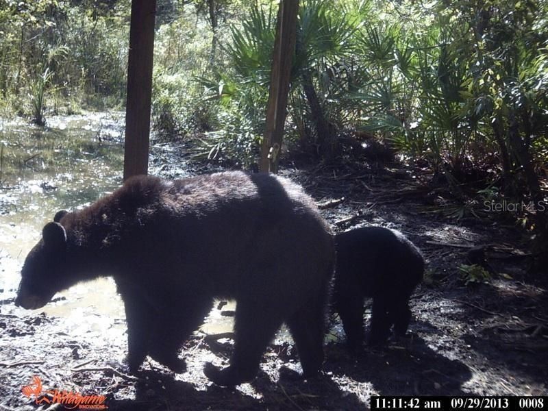 For Sale: $595,000 (79.12 acres)