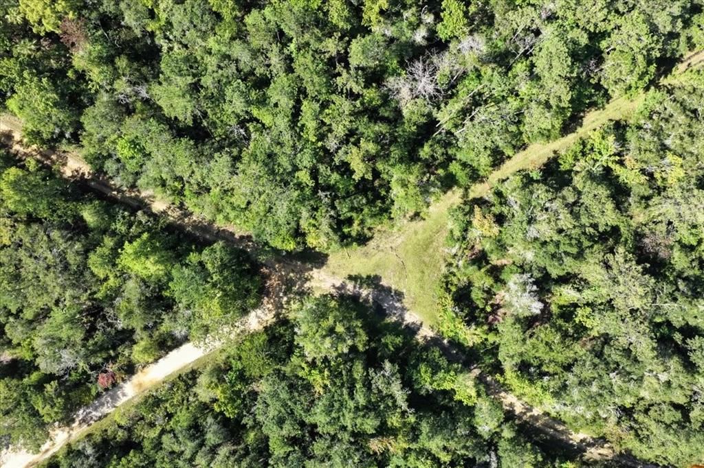 For Sale: $595,000 (79.12 acres)