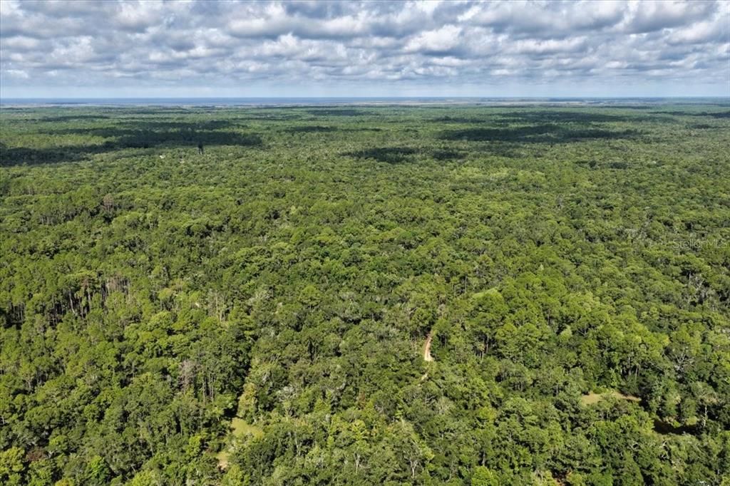 For Sale: $595,000 (79.12 acres)